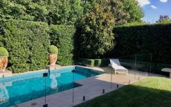 Bay Laurel (Sweet Bay) - Laurus Nobilis - 1 Gallon Pot 15 Bay Laurel (Sweet Bay) - Laurus Nobilis - 1 Gallon Pot -Stylish Garden Plant Store Bay Laurel 7 1