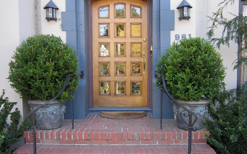 Wintergreen Boxwood - 3 Gallon Pot 7 Wintergreen Boxwood - 3 Gallon Pot - Image 5