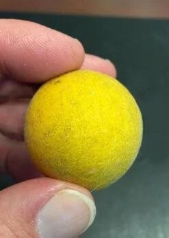 Flying Dragon Hardy Orange Tree - 7 Gallon Pot (5-6') (COPY) -Stylish Garden Plant Store Orange Flying Dragon 6 2