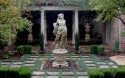 Dwarf Mondo Grass - 32 Pack Of 2.5" Pots -Stylish Garden Plant Store Picture Mondo Grass Dwarf Pavers