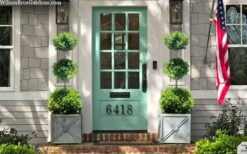 Green Mountain Boxwood 3-Ball Poodle Tier Topiary - 6 Gallon Pot -Stylish Garden Plant Store buxus green mountain 3 ball topiary 20