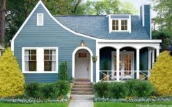 Gold Mop Threadleaf Cypress - 1 Gallon Pot -Stylish Garden Plant Store chamaecyparis pisifera gold mop cypress 105