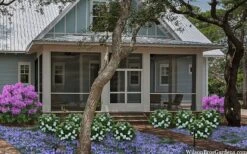 Snow Globe Gardenia - 3 Gallon Pot -Stylish Garden Plant Store gardenia jasminoides snow globe 2 1